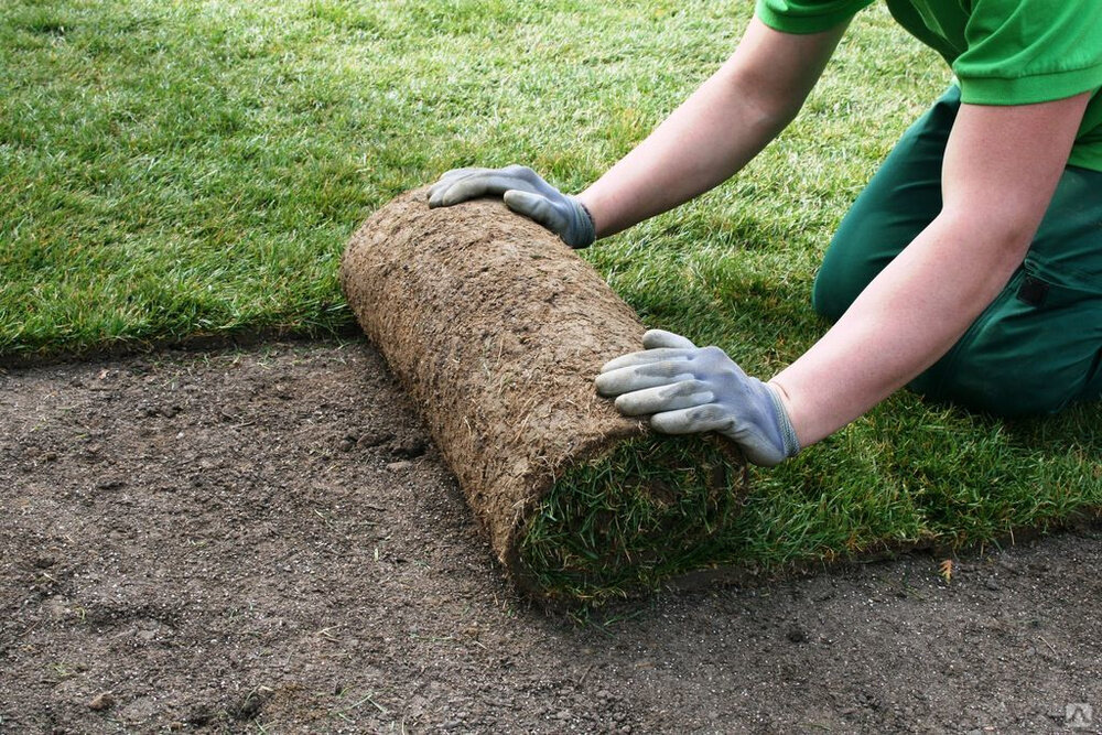 Landscape Design & Installation Near You in San Jose, CA