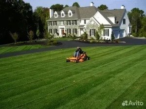 Landscaping Services Near You in San Jose, CA