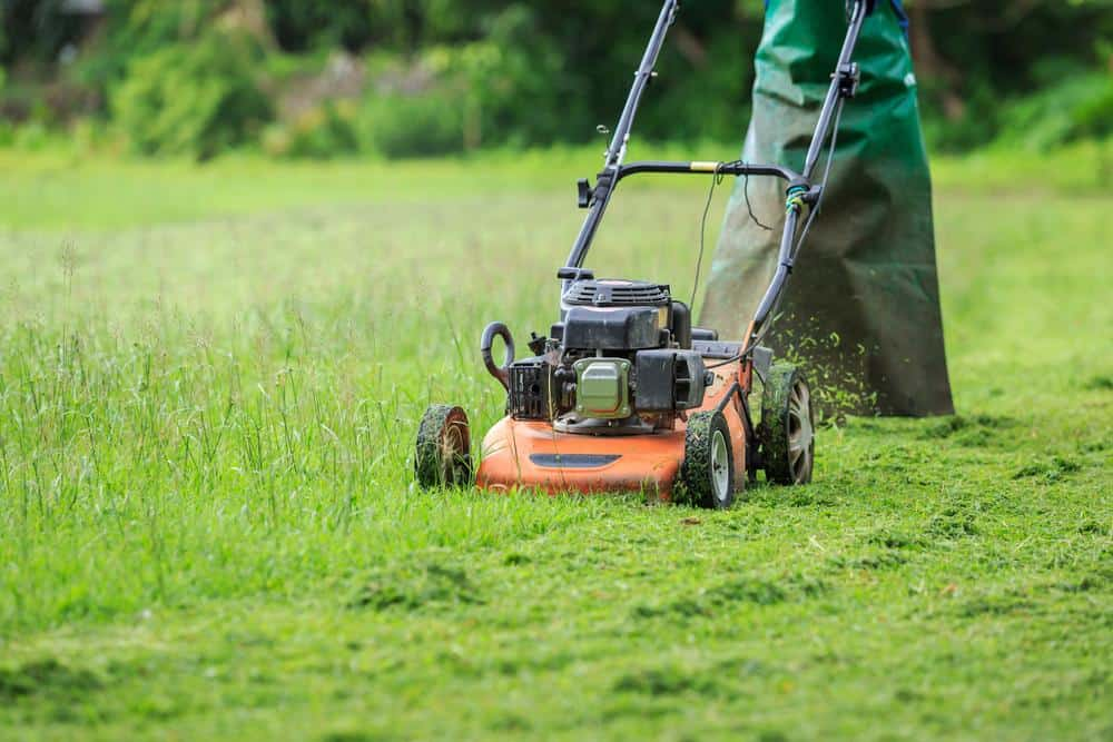Lawn Care & Maintenance Near You in San Jose, CA