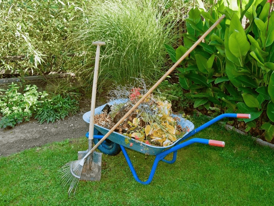 Seasonal Cleanup & Mulching Near You in San Jose, CA