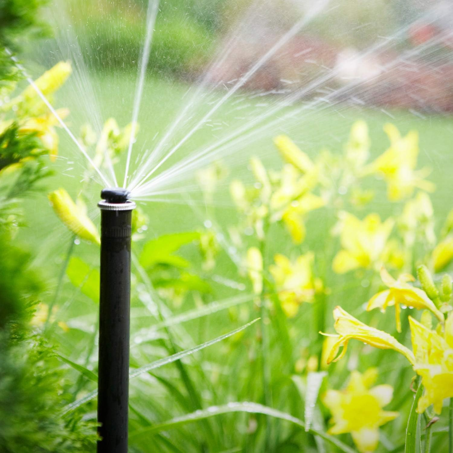 The Benefits of a Professional Irrigation System